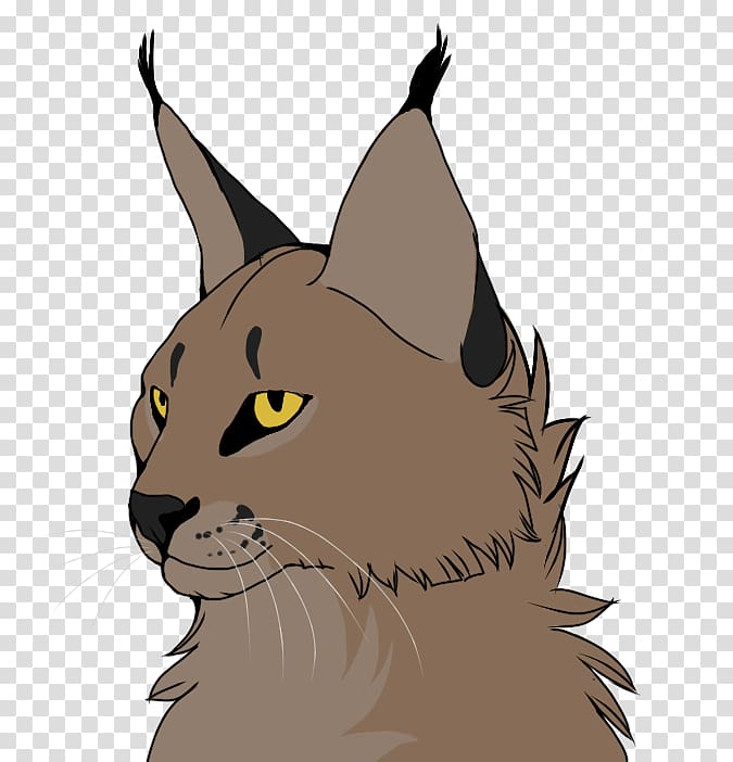 Kitten Wildcat Whiskers Caracal, kitten transparent background PNG clipart