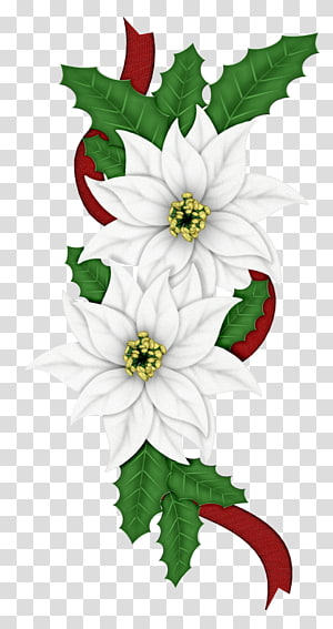 Christmas Holly Mistletoe PNG Clip-Art Image​