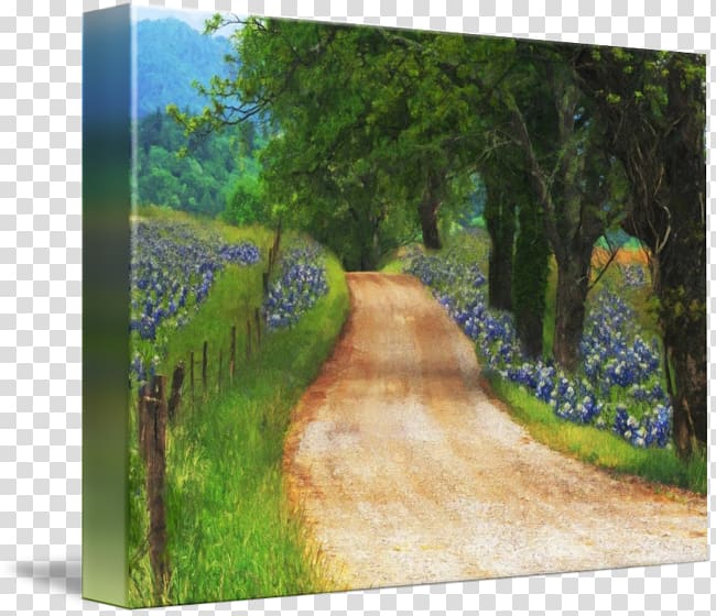 Watercolor painting Gallery wrap Canvas Nature story, painting transparent background PNG clipart