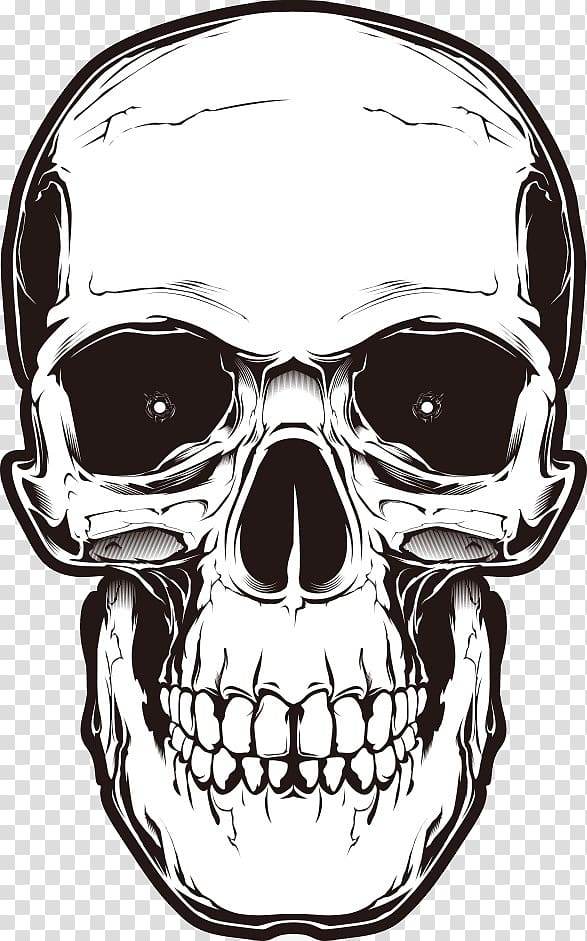 Human skull symbolism, skull tattoo transparent background PNG clipart