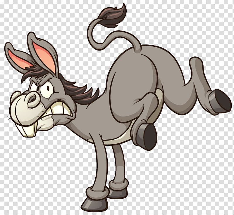 Burro transparent background PNG cliparts free download