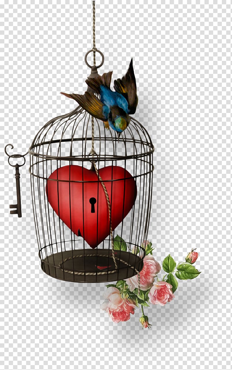 Dem Leben wieder vertrauen: Prinzipien der Heilung von Mißbrauch und seelischen Verletzungen Love Cage Bird, bird cage transparent background PNG clipart