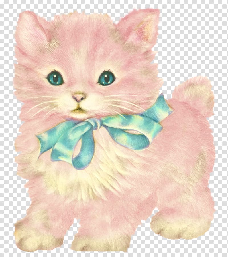 Cat Kitten Felidae , Cat transparent background PNG clipart