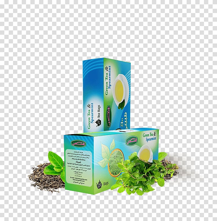 Green tea Tea bag Tea blending and additives Mentha spicata, tea transparent background PNG clipart