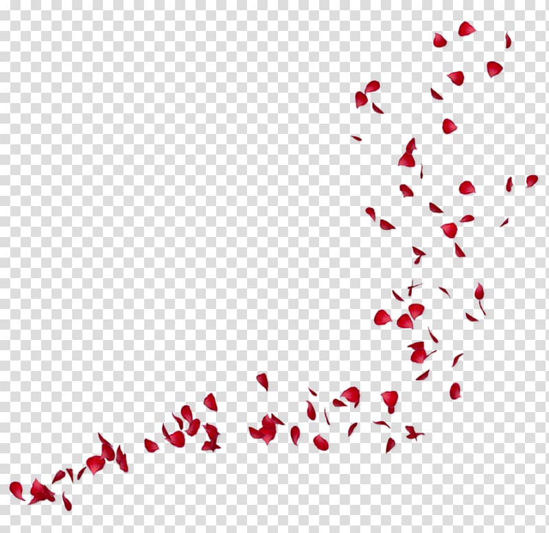 red flower petals art, Desktop Dime Piece, rose petals transparent background PNG clipart
