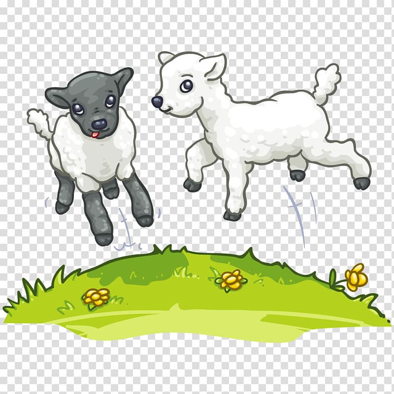 Sheep Dairy cattle Nopparat Rajathanee Hospital Farm, sheep transparent background PNG clipart