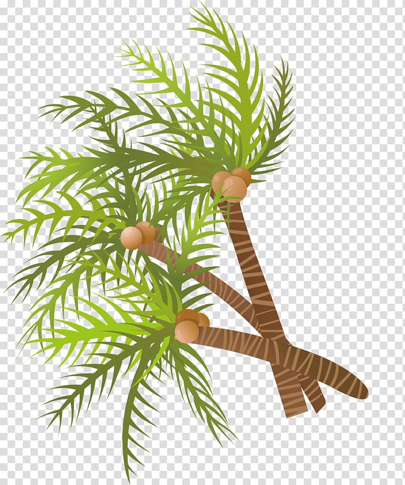 Arecaceae Coconut Tree Euclidean , hand painted green coconut tree transparent background PNG clipart