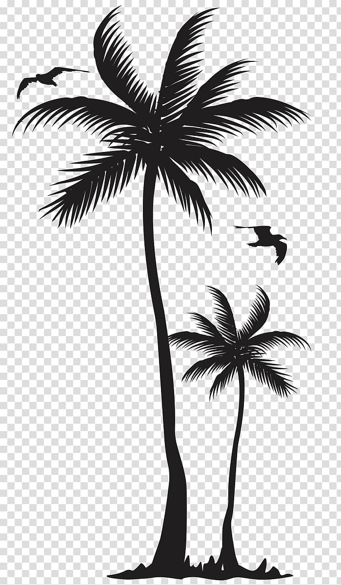 birds flying above two palm trees illustration, T-shirt Arecaceae Coconut Tree Clothing, monroe transparent background PNG clipart