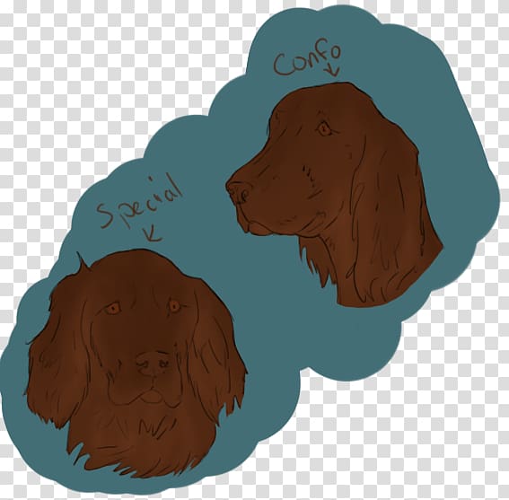 Boykin Spaniel Irish Setter, elegent transparent background PNG clipart