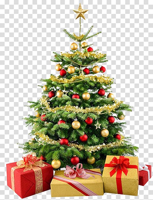 Christmas tree , crismas transparent background PNG clipart