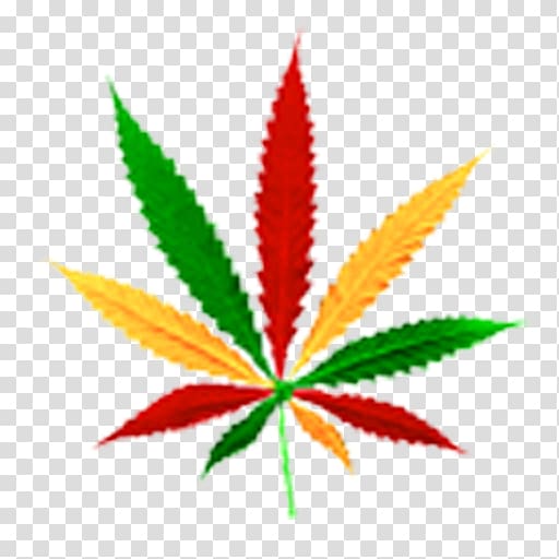 Cannabis smoking Rastafari Reggae Medical cannabis, cannabis transparent background PNG clipart