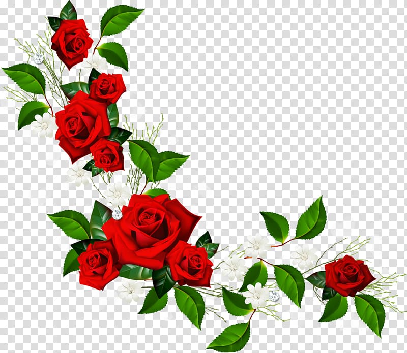 red roses illustration, Flower Rose Red , rose border transparent background PNG clipart
