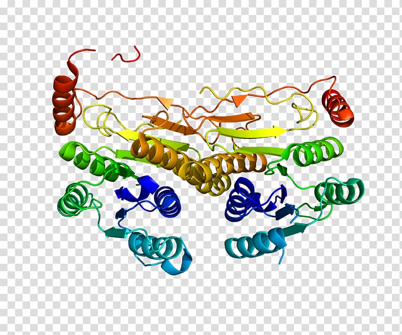 UBE1DC1 Gene Ubiquitin-activating enzyme Protein Data Bank, others transparent background PNG clipart
