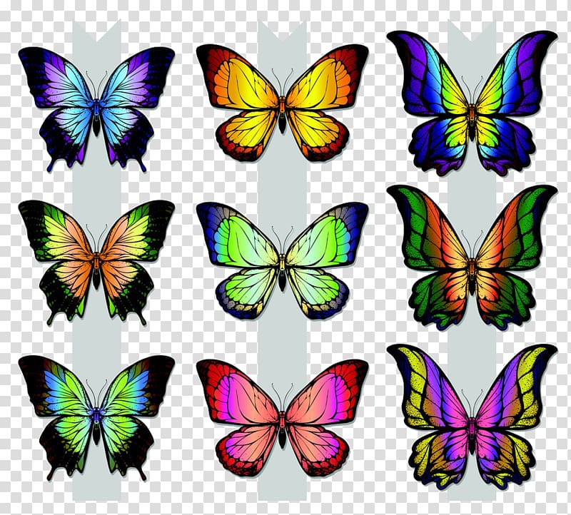 Monarch butterfly Illustration, Creative Butterfly transparent background PNG clipart