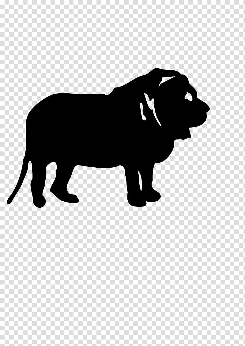 Lion , lion transparent background PNG clipart Lion , lion transparent background PNG clipart
