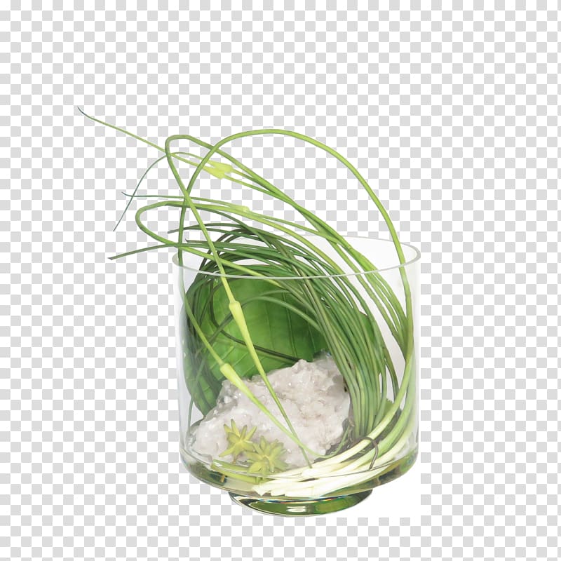 Herb Grasses Flowerpot Family, protea watercolor transparent background PNG clipart