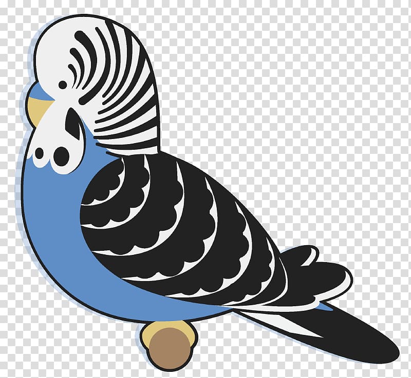 Budgerigar Bird Beak Parakeet , Bird transparent background PNG clipart