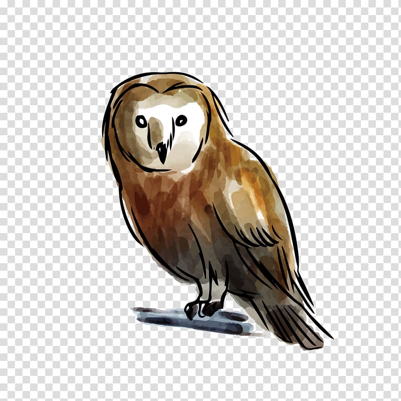 Owl, Grey Owl transparent background PNG clipart