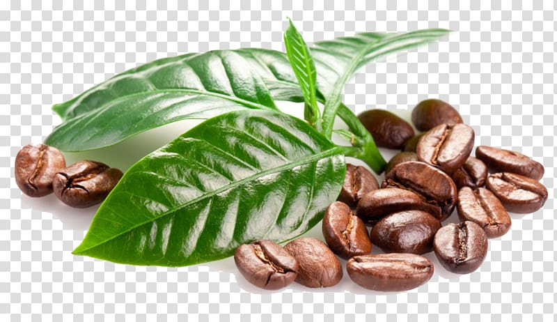 coffee beans, Coffee bean Tea Espresso Coffee cup, Coffee beans transparent background PNG clipart