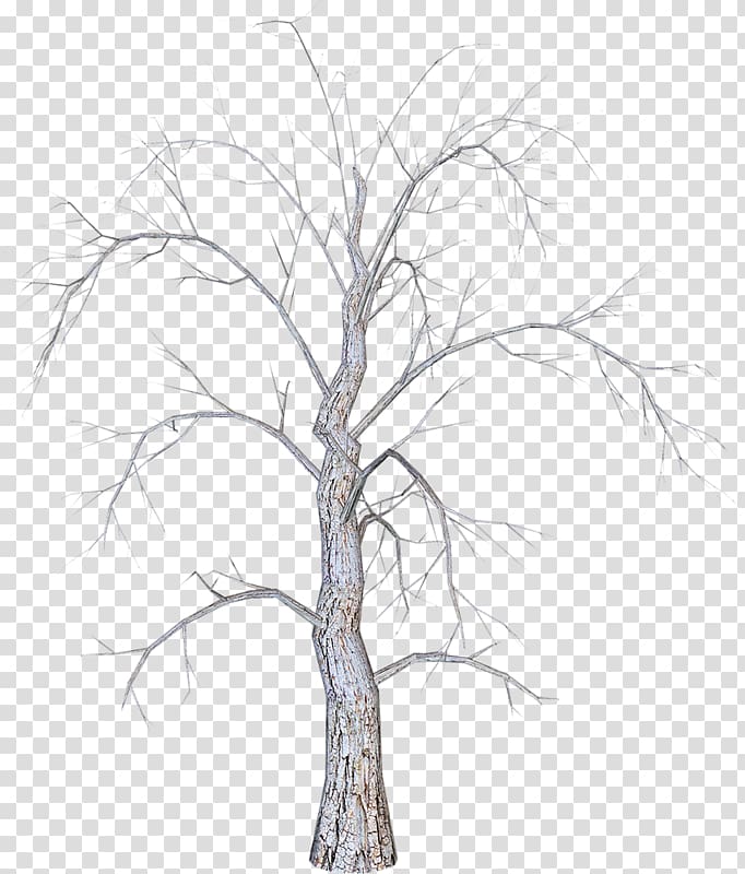 Tree Branch , tree transparent background PNG clipart