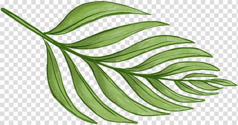 green leafed plant graphic , Leaf Barnsley fern Plant Pattern, tropical leaves transparent background PNG clipart