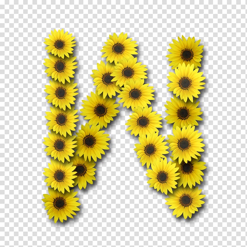 Letter case N Alphabet Desktop , sunflower transparent background PNG clipart