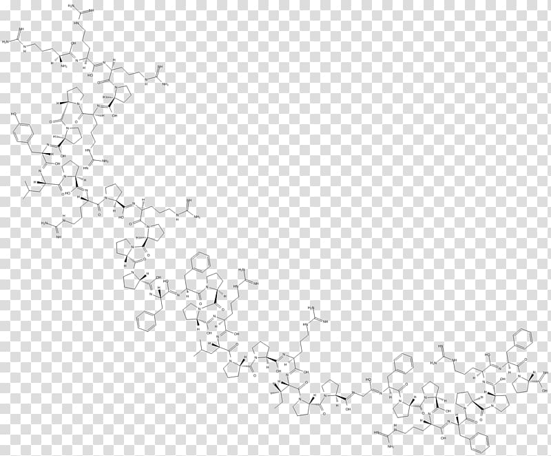 Line art Point White Angle, inflammation transparent background PNG clipart