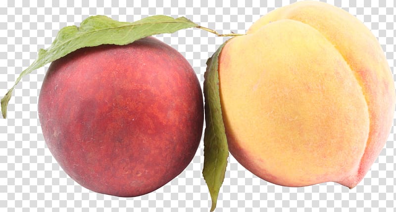 Juice Saturn Peach Nectarine, Peach transparent background PNG clipart