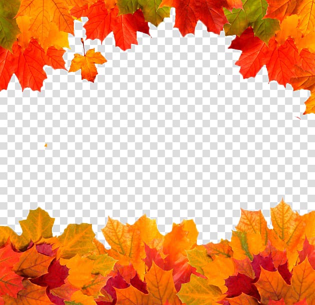 autumn leaves border transparent background PNG clipart