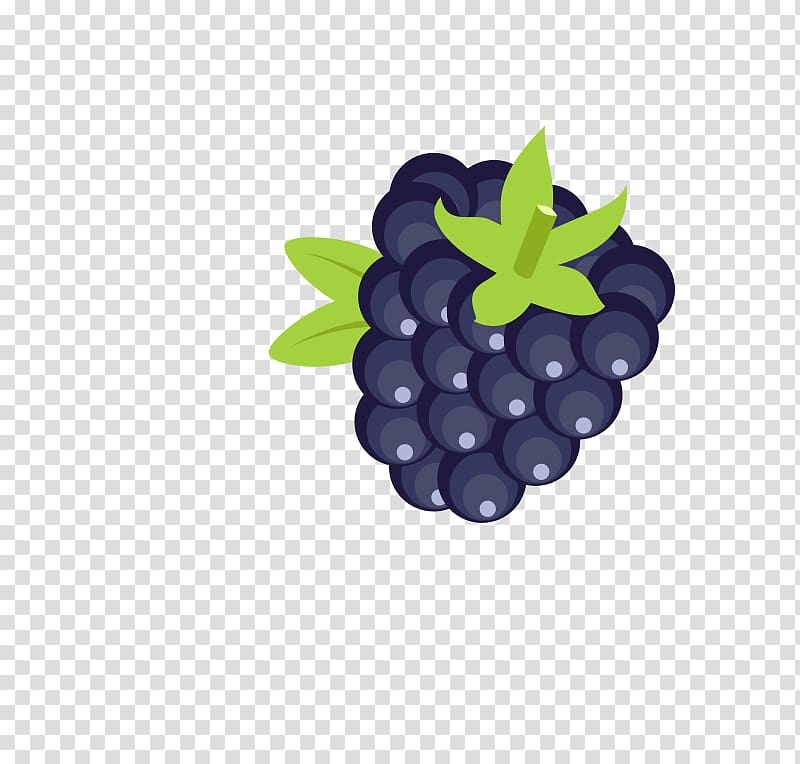 Blackberry pie , blackberry transparent background PNG clipart