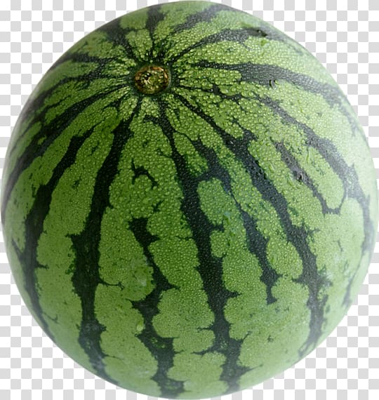 Watermelon Fruit Muskmelon Cucurbita pepo var. giromontiina, watermelon transparent background PNG clipart