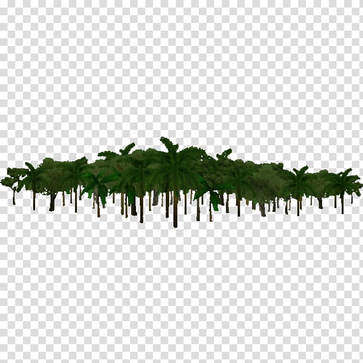 Jungle , Jungle Background transparent background PNG clipart