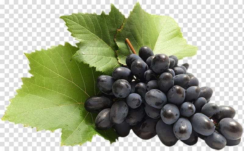 Common Grape Vine Zante currant , grape transparent background PNG clipart