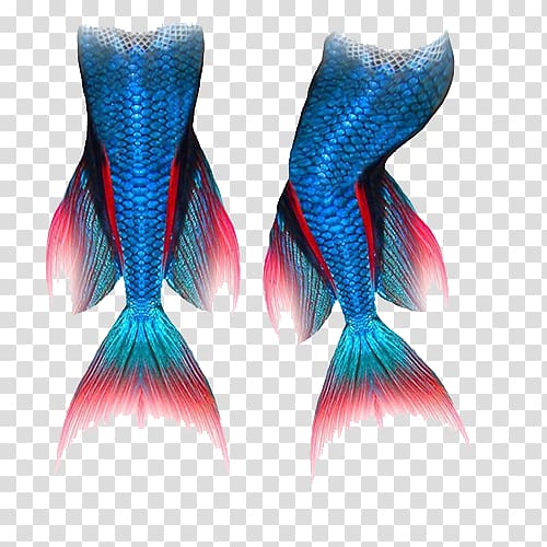 Mermaid Tail Blue, Blue mermaid tail transparent background PNG clipart
