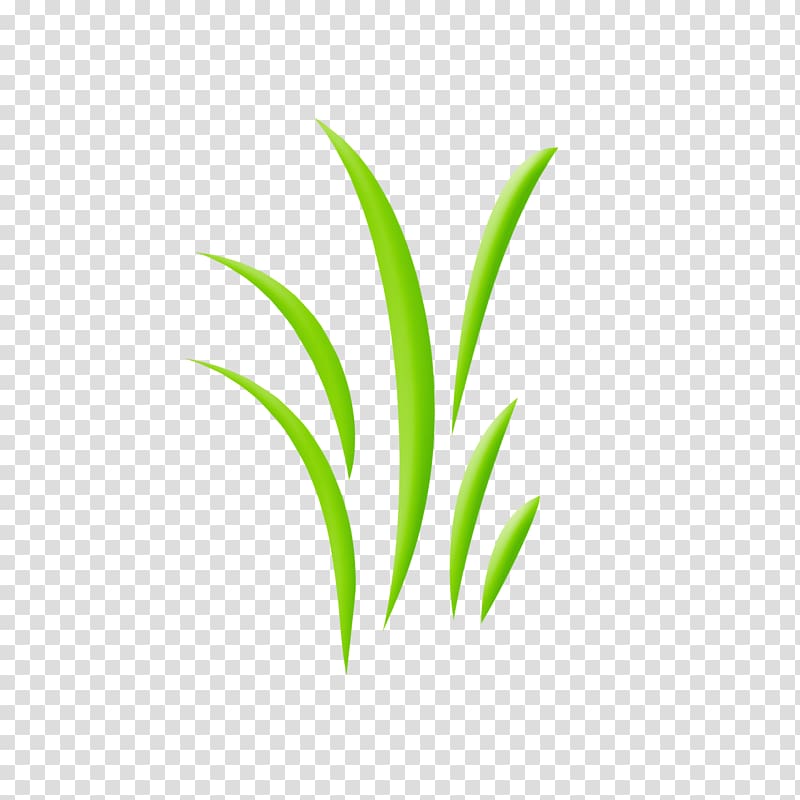 Leaf Plant stem Line Grasses, elements of a narrative story transparent background PNG clipart