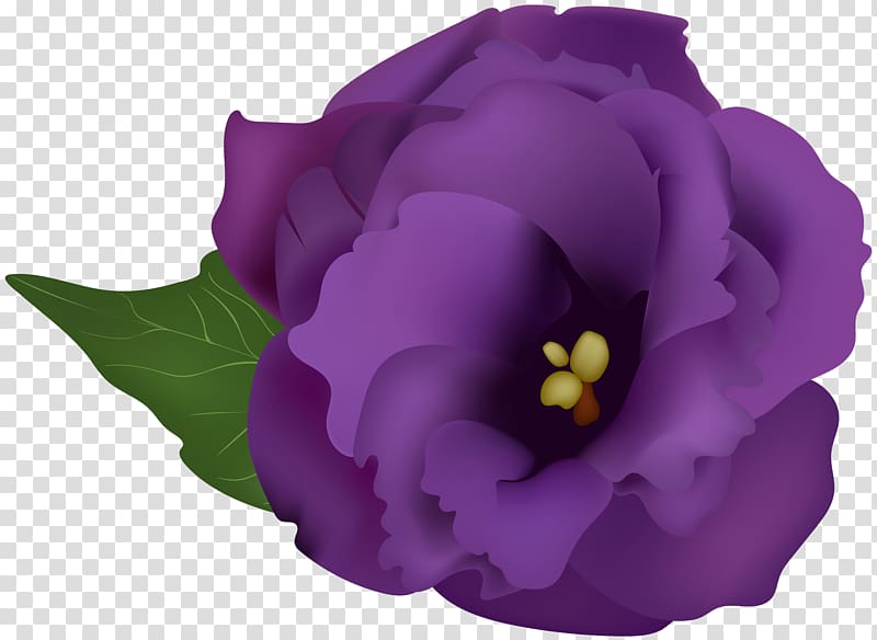 , Purple Flower transparent background PNG clipart