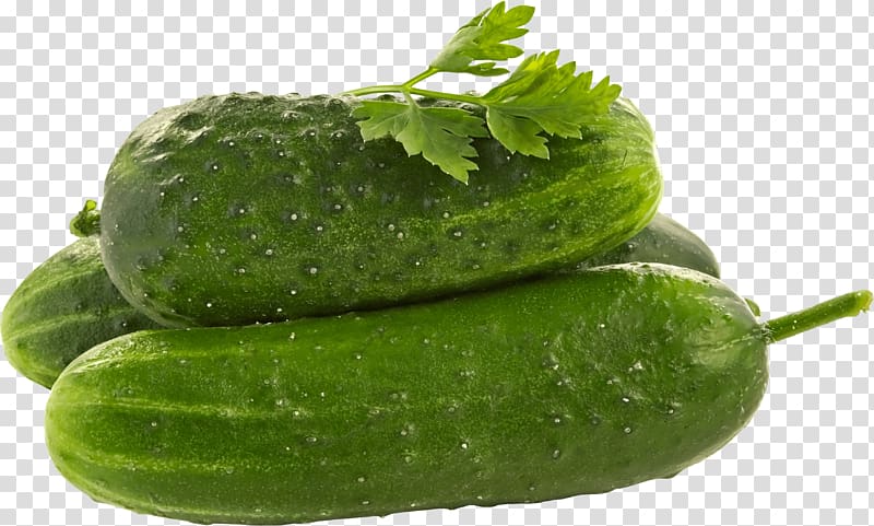 Pickled cucumber Spreewald gherkins Facial, Green Cucumber transparent background PNG clipart