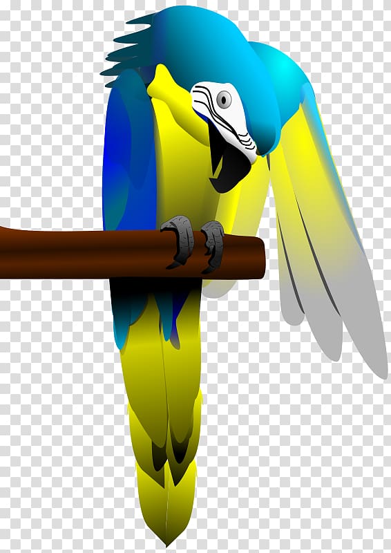 Parrot Bird Blue-and-yellow macaw , macaw transparent background PNG clipart