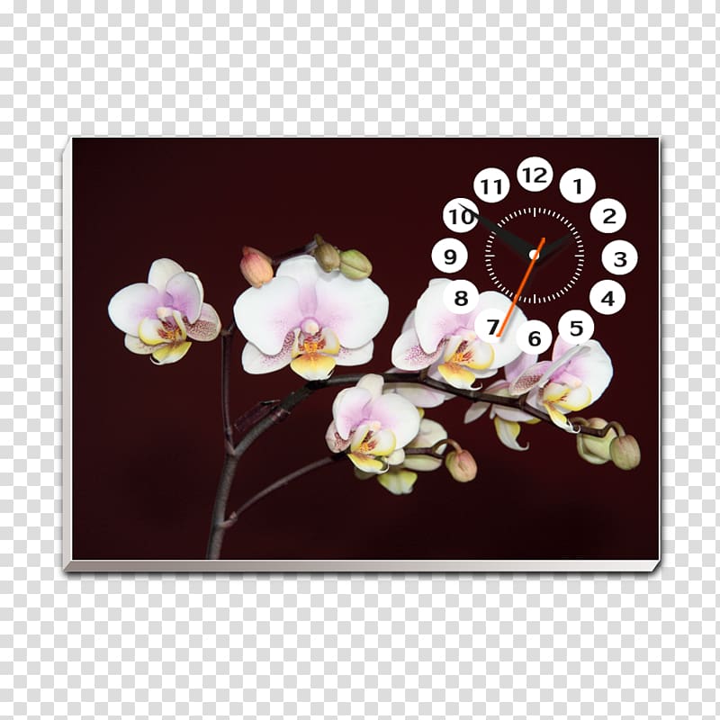 Cherry blossom Petal ST.AU.150 MIN.V.UNC.NR AD, Hoa Lan transparent background PNG clipart
