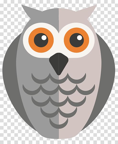 Bird, owls transparent background PNG clipart