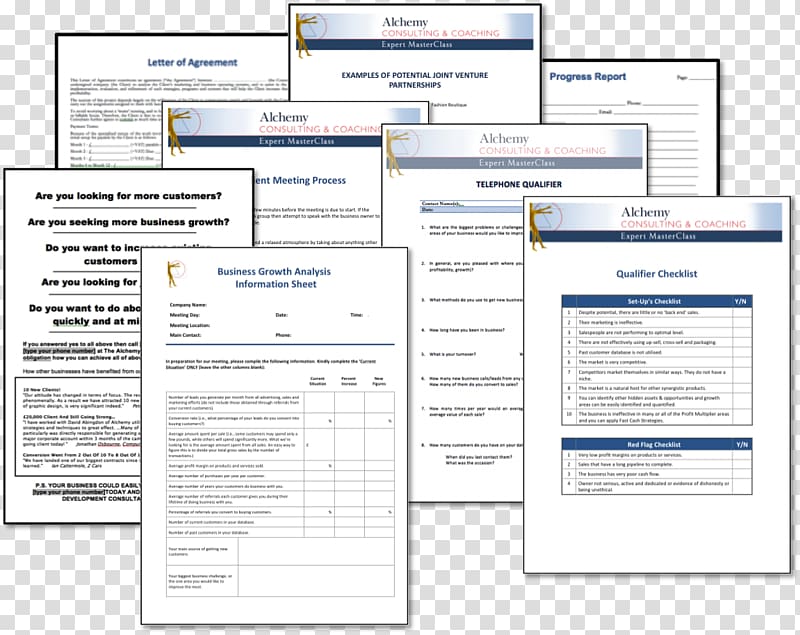 Web page Computer Software Management consulting Business consultant, Forms transparent background PNG clipart