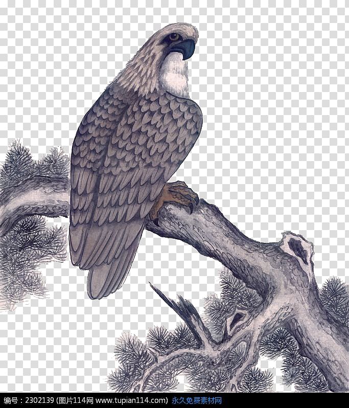 Ink wash painting Eagle, eagle transparent background PNG clipart