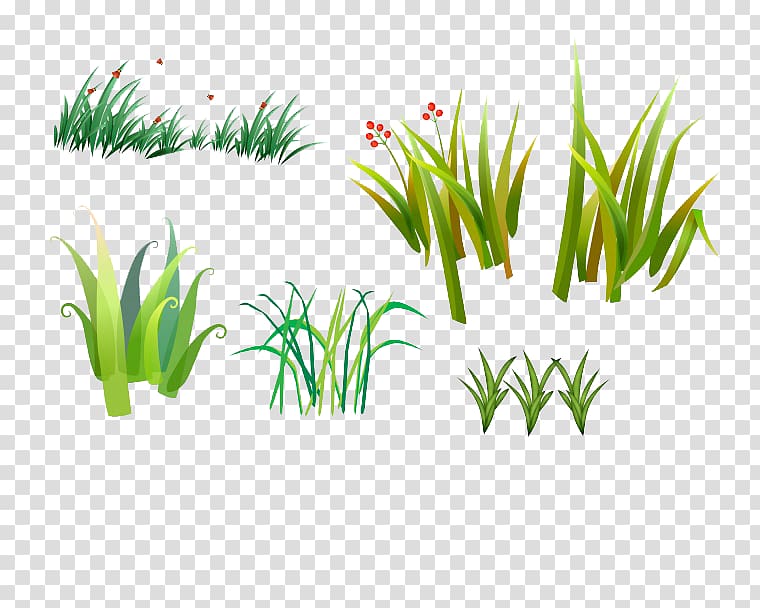 Herbaceous plant Albom u042fu043du0434u0435u043au0441.u0424u043eu0442u043au0438 , Green grass transparent background PNG clipart