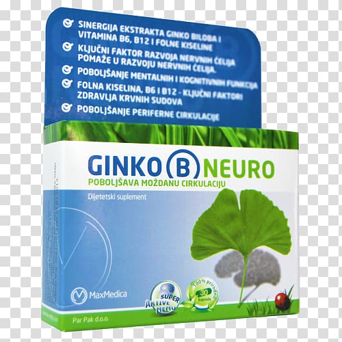 Ginkgo biloba Dietary supplement Neurology Headache Vitamin B-12, ginko transparent background PNG clipart