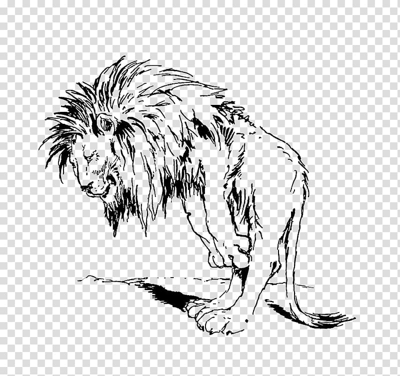 Lion Graphics Coloring book Illustration Sketch, lion transparent background PNG clipart