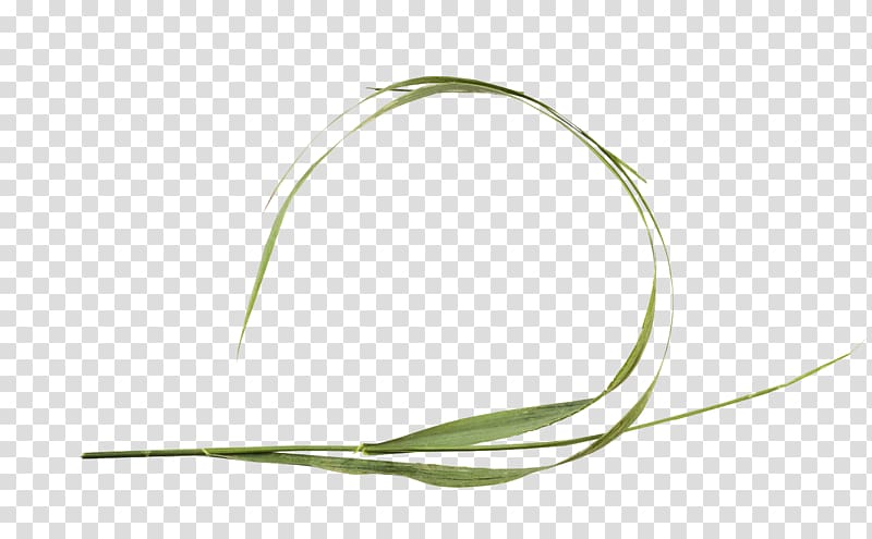 Commodity Leaf Line, трава transparent background PNG clipart