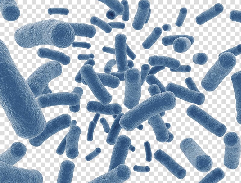 blue micro organisms illustration, Human Microbiome Project Dietary supplement Disease Gut flora Microbiota, Sky blue insect-shaped microbes transparent background PNG clipart