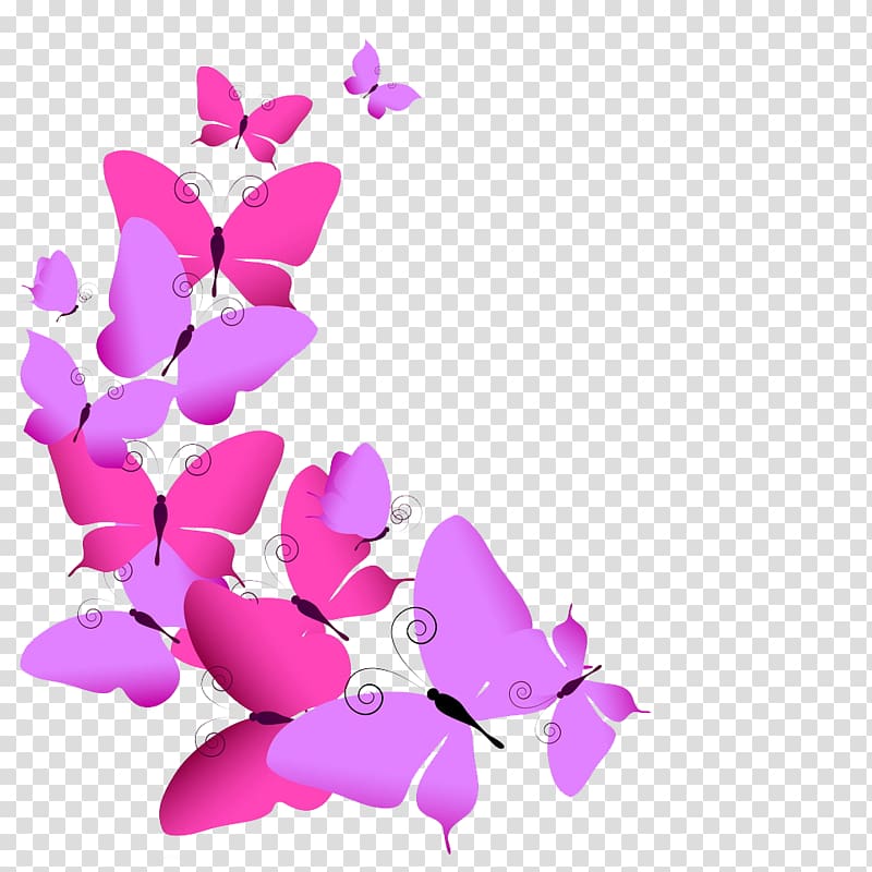 flying butterfly transparent background PNG clipart