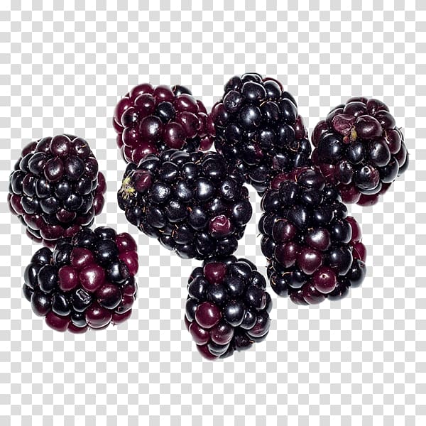 Boysenberry Loganberry Tayberry Blackberry Food, blackberry transparent background PNG clipart