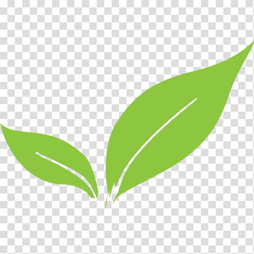 green leaves illustration, Leaf Plant stem Europe 0, logo leaf transparent background PNG clipart